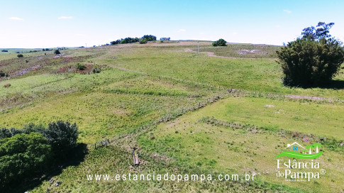 VAI ATE MANGUEIRA OVELHAS.00_05_59_28.Quadro078_be4f0638152b6b8c612e6c926eb13d1655abf26b.jpg